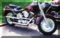 rodbike1.JPG (24064 bytes)